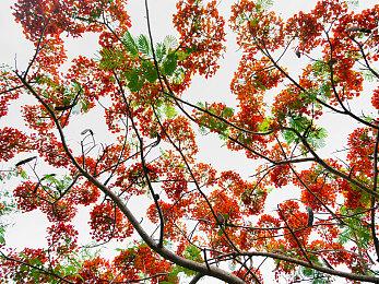 温馨风格冒险游戏新作《穆瑞：狂野森林》公布